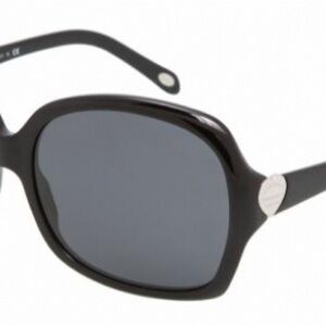 TIFFANY and CO TF4041 Sunglasses in color 80013F
